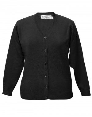 Kashmiri ladies sweater best sale